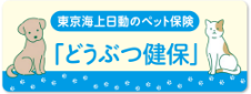 東京海上日動