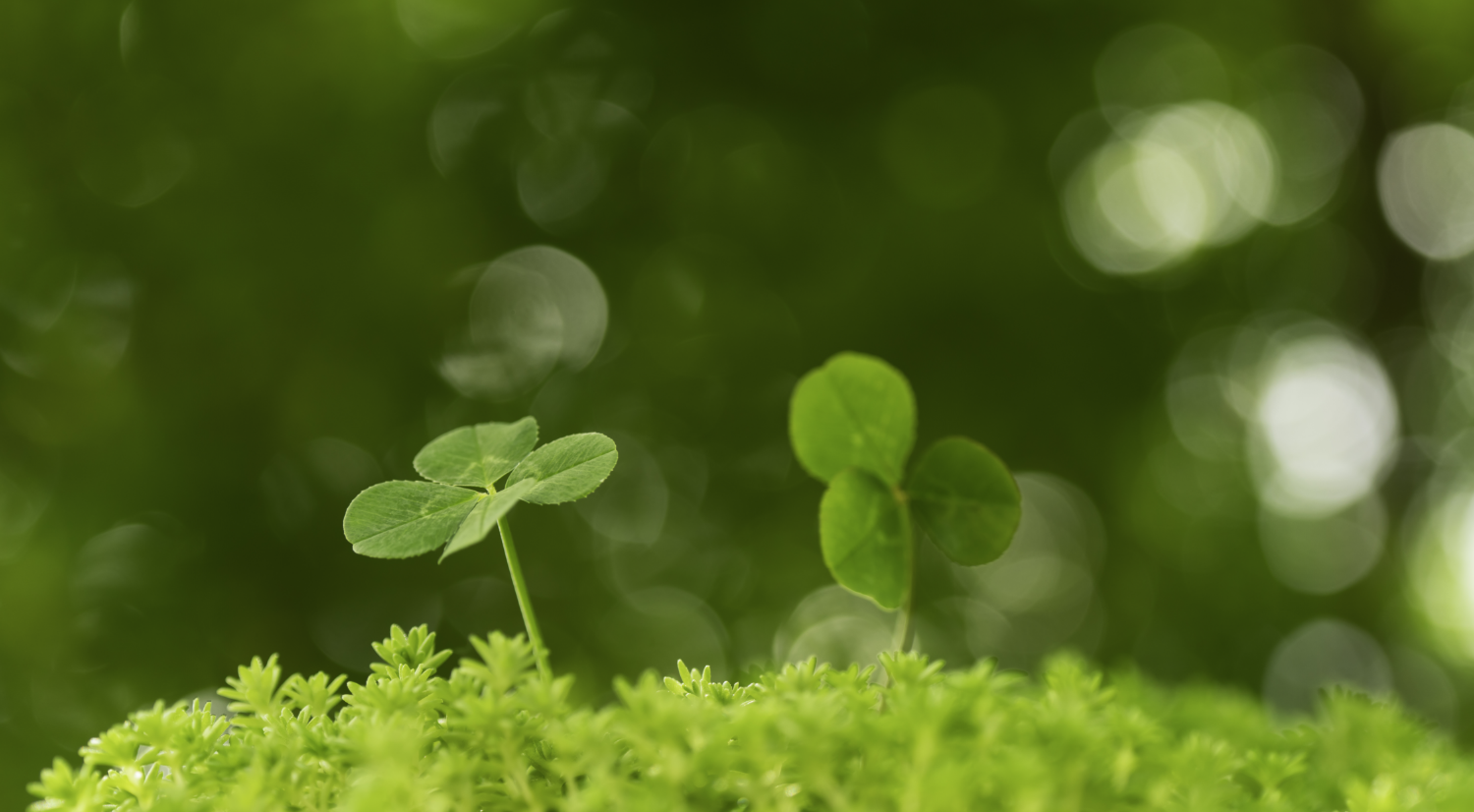 提携代理店にしかできないサービスがあります